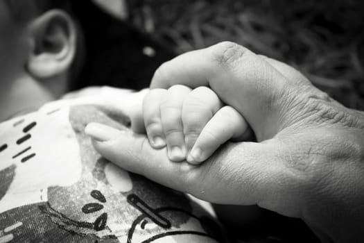 Two month old baby holding his mothers finger. Relax scene