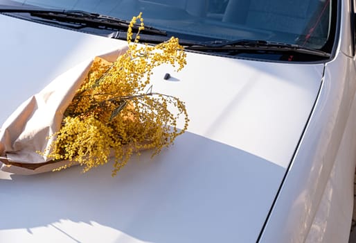 yellow mimosa flowers bouquet on white car hood. Spring concept. Flat lay. Top view, banner