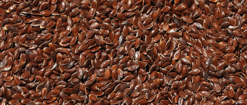 Flax seeds background. flaxseed or linseed agricultural background. Healthy food. A source of valuable vegetable oil. flax crop top view. Preparation of seeds for sowing.