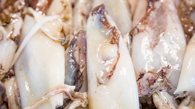 Top view of fresh squid on a fishmonger's stall. Gourmet sea healthy food.