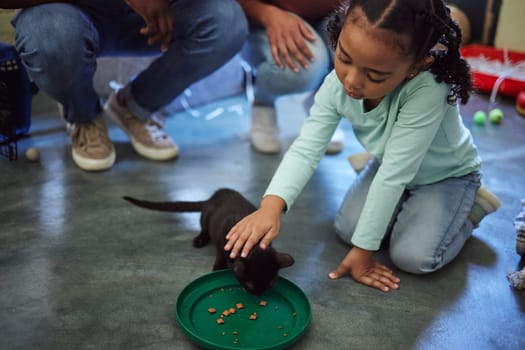 Child, girl or feeding kitten in pet shelter, adoption rescue or feline volunteer community clinic with health, wellness or development food. Kid, youth or animal care for cats in foster charity home.