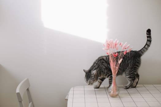Gray cat and a bouquet of flowers in a glass vase on the white table. Contrast shadows on the white wall. Country style. Home decor, interior details