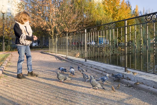 Little girl feeding pigeons in sunny autumn park, standing on bridge near pond, golden hour