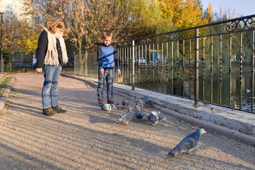 Children boy and girl feeding pigeons in sunny autumn park, standing on bridge near pond, golden hour