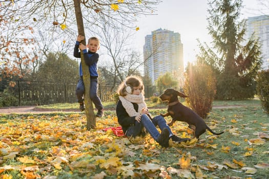 Children boy and girl playing with dachshund dog in a sunny autumn park, yellow leaf fall background