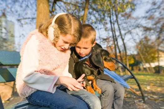 Children best friends boy and girl sitting on bench in park with dog dachshund, children talking and smiling look at smartphone, , sunny autumn day, golden hour