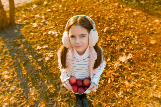 Harvesting, little beautiful girl with apples in autumn park, golden hour