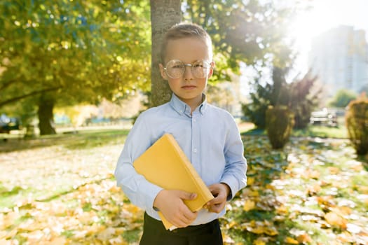 Little boy 6, 7 years old in glasses with book in autumn sunny park, golden hour.