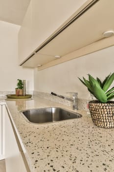 a kitchen with granite counter tops and white cabinets in the background, there is a plant on the counter top