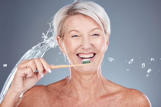 Wellness, water splash and portrait of old woman brushing teeth isolated on gray background in studio. Bamboo, dental care and senior female cleaning teeth with toothbrush for eco friendly hygiene.