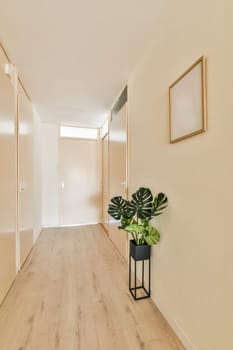 a long hallway with wood flooring and plants on either side of the room, in front of the door