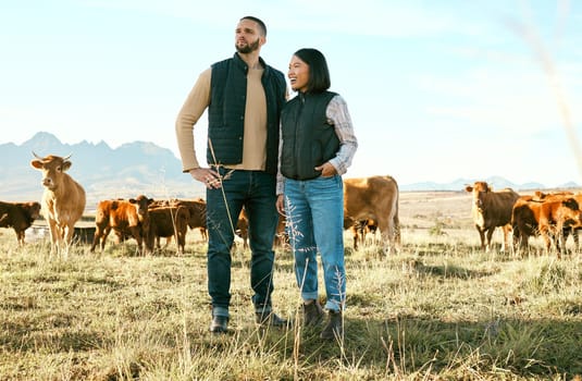 Cow field, farm and couple in agriculture for small business, eco friendly and sustainability food, supply chain and management. Idea, success and farmer woman, partner and cattle for beef production.