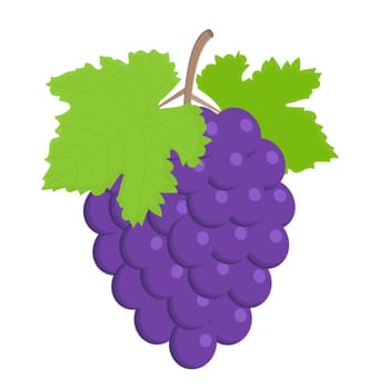 Bunch of purple wine grapes with leaves. Vector flat illustration.