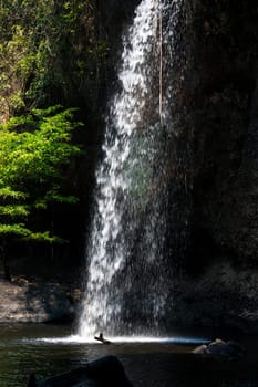Splashing waterfall drop on pond with dark background of cave inside asian tropical rainforest in summer.