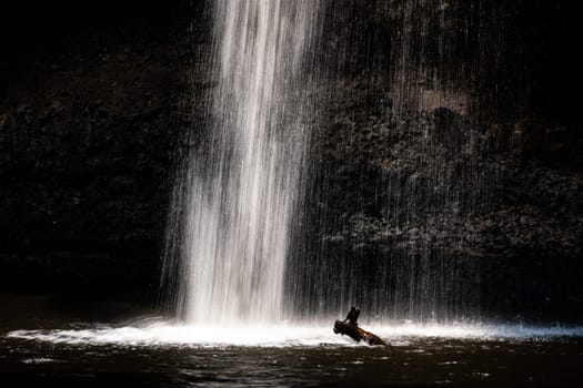 Long speed shutter technique of splashing waterfall drop on pond with dark cave inside asian tropical rainforest in summer.