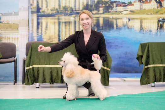A happy woman shows off the beauty of a mini poodle in a dog stand.