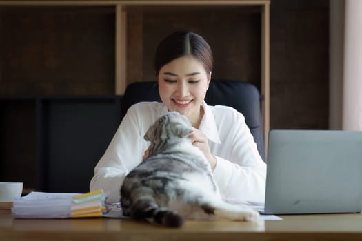 Business person relaxing and playing with cat at home office. Strategy, chart, finance report concept.