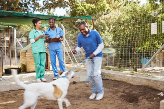 Dog, veterinary and healthcare doctor or team with tablet, writing notes for animals medical check, support and puppy care. Nonprofit volunteer people helping with pet care at dogs homeless community.