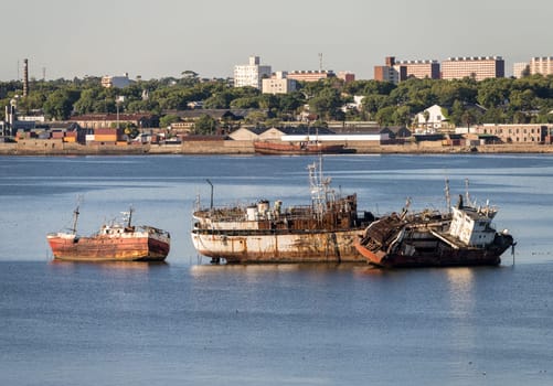 Abandoned ships rusting in shallow water in the harbor of Montevideo in Uruguay