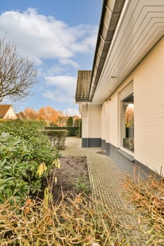 an outside area with plants and bushes in front of the house on a sunny day there is a blue sky