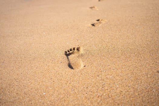 Footprints On Ocean Sandy Beach close up