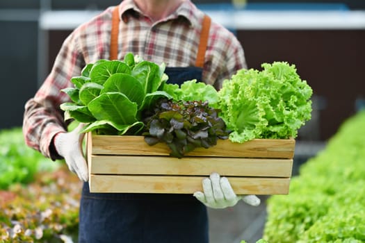 Farmer holding wooden crate full of fresh organic vegetables from farm. Agriculture business concept.