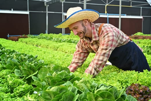 Smiling caucasian man Agribusiness owner working in organic hydroponics vegetable farm.