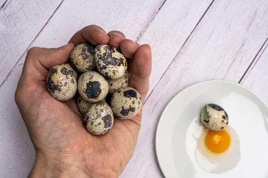 A handful of fresh quail eggs in a person's hand, yolk and white on a white plate surrounded by many eggs. Bright festive background. Close-up. Healthy eating.