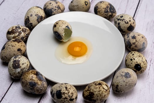 Fresh broken quail egg, yolk and white on a white plate surrounded by many eggs. Bright festive background. Close-up. Healthy eating.