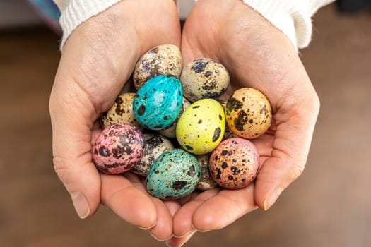 colorful easter eggs in women's hands. Easter greeting card. a place to copy. close-up of quail eggs in the palms. quail eggs. Easter eggs.