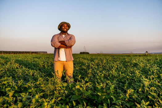 Farmer is standing in his growing soybean field. He is satisfied because of good progress of plants.