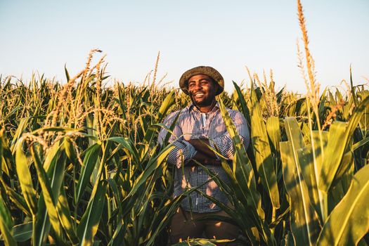 Farmer is standing in his growing corn field. He is satisfied because of good progress of plants.