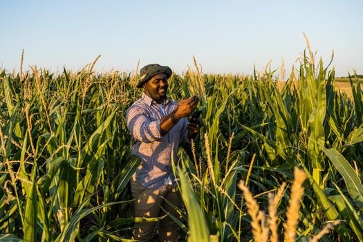 Farmer is standing in his growing corn field. He is satisfied because of good progress of plants.