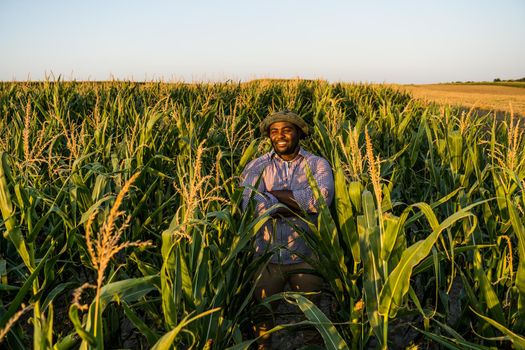 Farmer is standing in his growing corn field. He is satisfied because of good progress of plants.