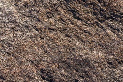 stone surface texture and full frame background under direct sun light.