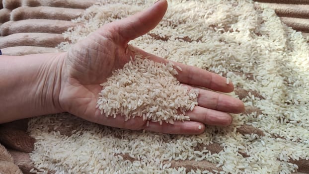 White cereals rice and hand of woman in it. Food for background and texture. Product and food which can be stored for a long time. Partial focus