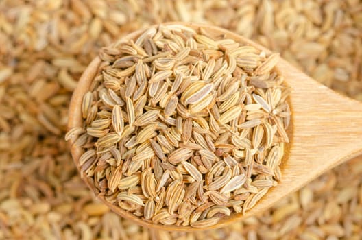 Dried fennel seeds in wooden spoon on fennel seeds background.
