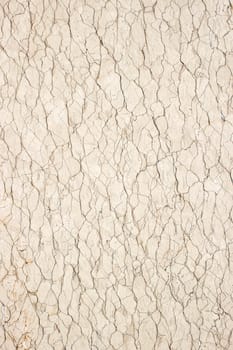 Marble Texture. High quality photo