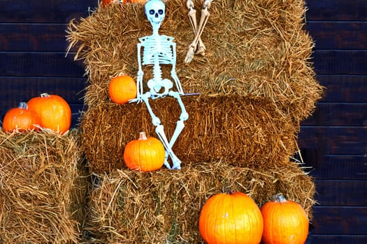 the night of October 31, the eve of All Saints' Day, commonly celebrated by children who dress in costume and go door asking for candy. Halloween skeleton on hay, pumpkins and black space for text