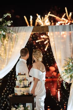 newlyweds happily cut, laugh and taste the wedding cake