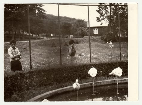 THE CZECHOSLOVAK SOCIALIST REPUBLIC - CIRCA 1980s: Vintage photo shows people visit ZOO.