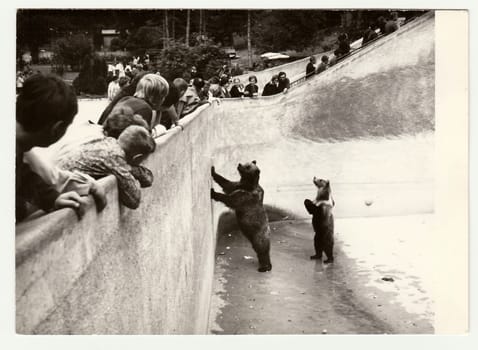 THE CZECHOSLOVAK SOCIALIST REPUBLIC - CIRCA 1980s: Vintage photo shows people visit ZOO. Two bears stand in bear moat.