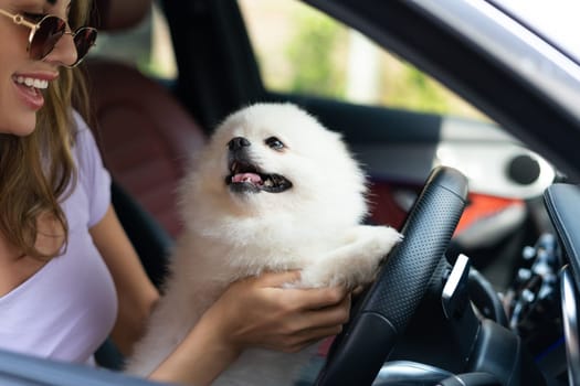 A happy woman and a dog in a car on a summer trip. Cute pomeranian spitz. Vacation with a pet.