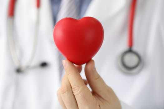 Cardiologist holding red toy heart closeup. Doctor cardiotherapist and treatment of cardiovascular disease concept