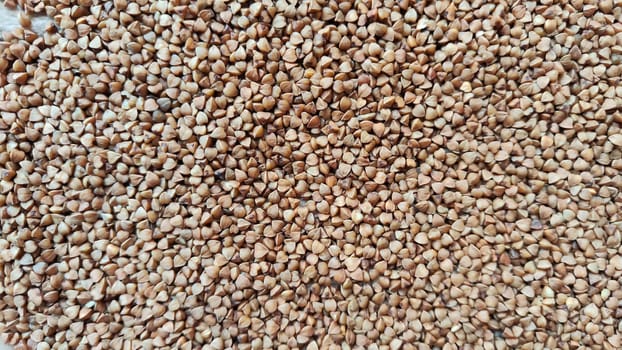 Brown buckwheat groats for background and textures