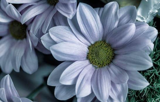 Beautiful white chrysanthemum in a bouquet among other flowers. Presented close-up.