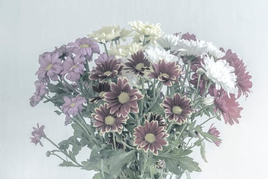 .A beautiful bouquet of chrysanthemums . Presented on a white background. Front view.