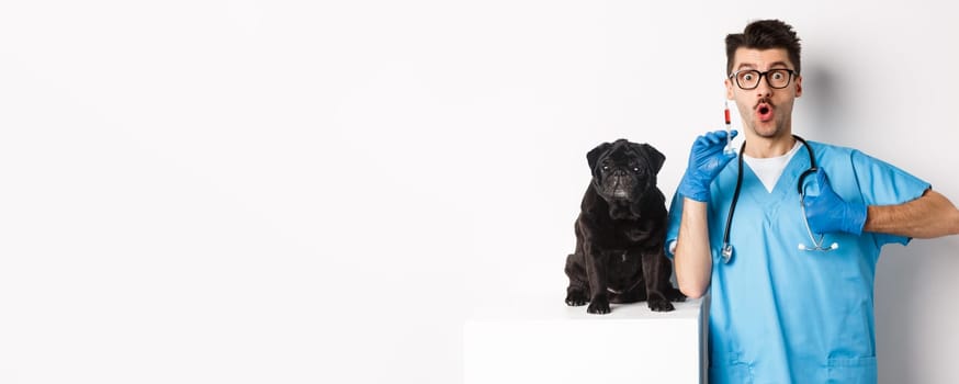 Handsome male doctor veterinarian holding syringe and standing near cute black pug, vaccinating dog, white background.