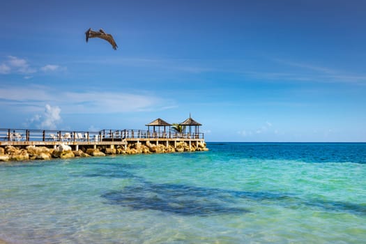 Tropical caribbean beach with turquoise waters in idyllic Montego Bay, Jamaica