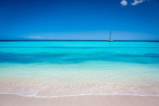 palm trees against blue sky and beautiful beach in Punta Cana at sunny day, Dominican Republic.